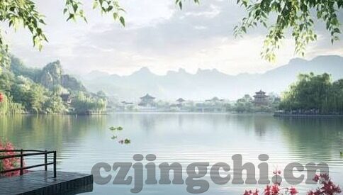 大象传媒 视频-大象传媒，视频内容创作的革新力量