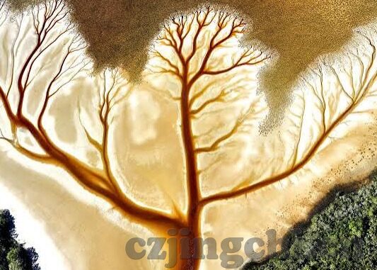 果冻传媒在线免费观看-探索果冻传媒，在线免费观看的精彩世界