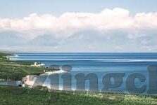 麻豆工作室沈芯语视频-麻豆工作室沈芯语视频，艺术与商业的完美交织
