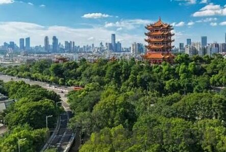日韩国产成人av免费网站-探索成人内容平台的边界与影响，日韩AV免费网站的现实与思考