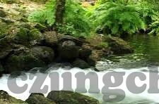 糖心vlog破解版id-